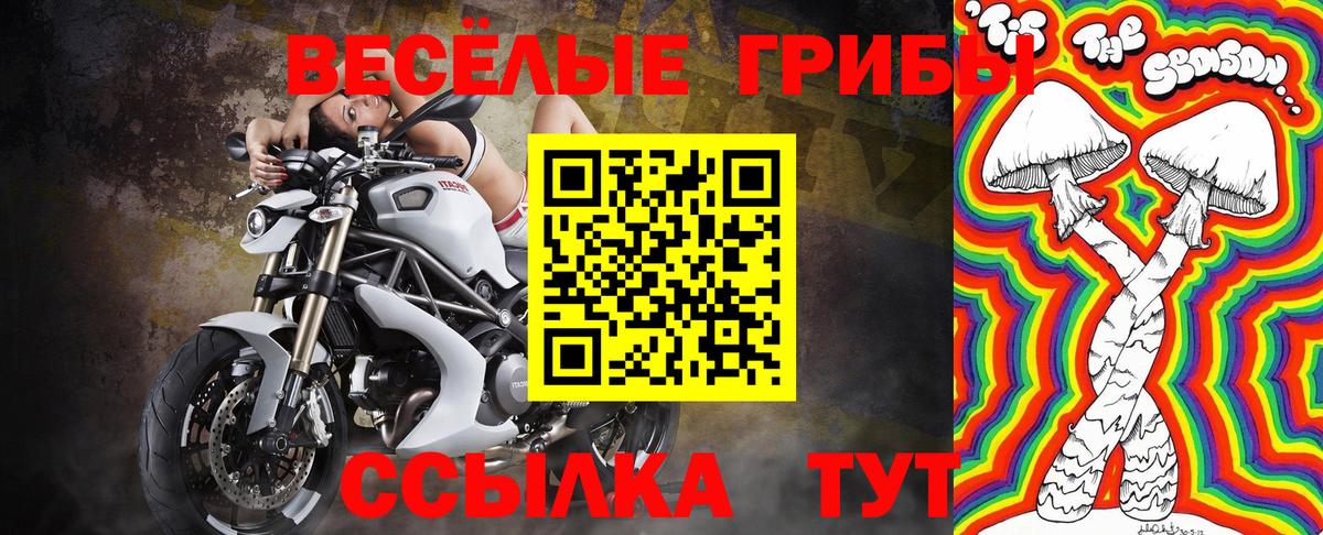 Мурманск  Псилоцибиновые грибы Psilocybine cubensis  Вход с VPN  Галлюциногенные грибы мухоморы 