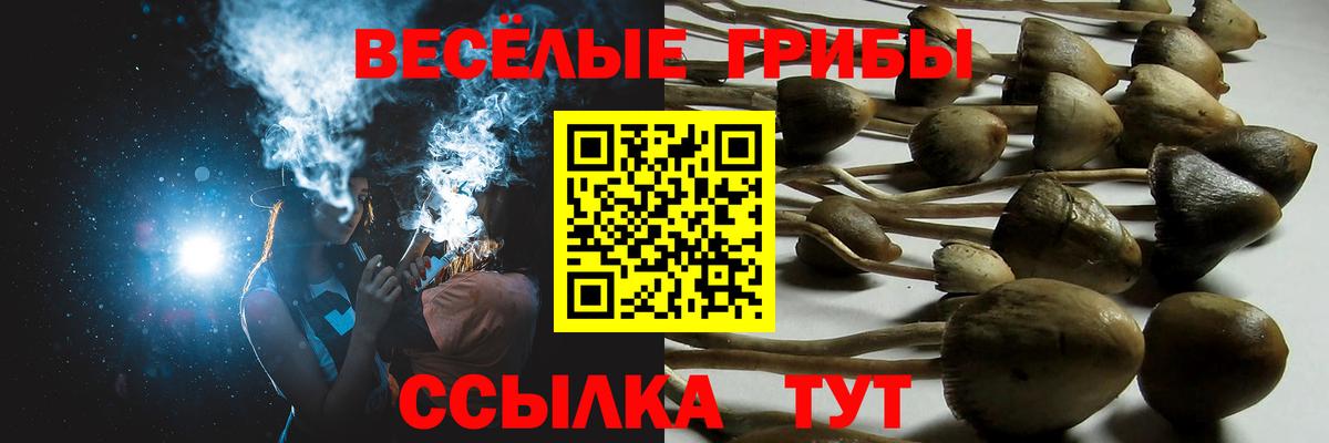 Псилоцибиновые грибы Magic Shrooms Мурманск